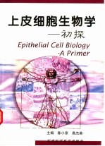 上皮细胞生物学 初探