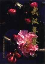 武汉年鉴 1997