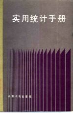实用统计手册