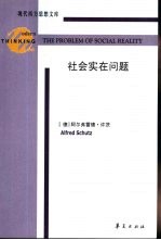 社会实在问题