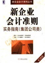 新企业会计准则实务指南 集团公司类