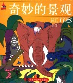 奇妙的景观118