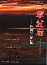 三军过后 巴西的记忆