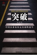 突破 中国企业如何走出战略迷失