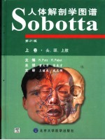 Sobotta人体解剖学图谱 第21版 上 头、颈、上肢