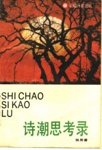 诗潮思考录