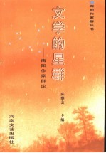 文学的星群 南阳作家群论