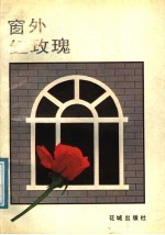 窗外红玫瑰
