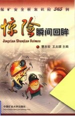 惊险瞬间回眸 煤矿安全析案识险365例