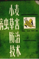 小麦病虫草害防治技术