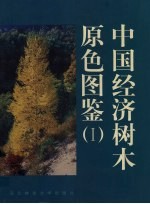 中国经济树木原色图鉴 1
