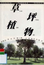 草坪植物