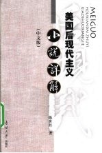 美国后现代主义小说详解 中文版