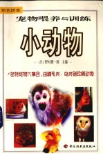 宠物喂养与训练 小动物