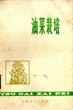油菜栽培