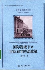 国际视域下的重新犯罪防治政策