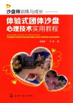 沙盘师训练与成长 体验式团体沙盘心理技术实用教程