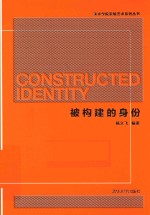 美术学院实验艺术系列丛书 被构建的身份