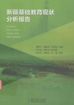 新疆基础教育现状分析报告