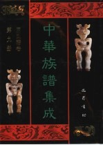 中华族谱集成 王氏谱卷 第9册