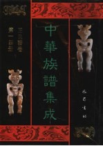 中华族谱集成 王氏谱卷 第14册