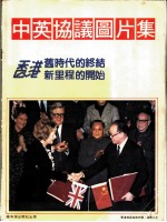中英协议图片集