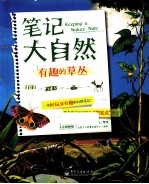 笔记大自然 有趣的草丛