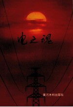 电之魂