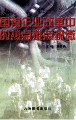 国有企业改革中的热点难点探微