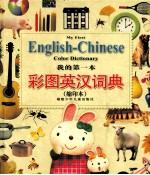 我的第一本彩图英汉词典 缩印本