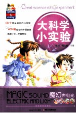 大科学小实验 魔幻声电光