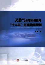 天然气分布式供能与十二五区域能源规划