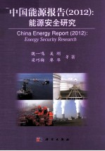 中国能源报告 2012能源安全研究