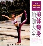 时尚瑜伽馆 美体瘦身瑜伽大全