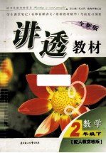 全新版讲透教材 数学 二年级 下 配人教实验版