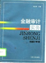 金融审计实务