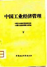 中国工业经济管理 下