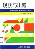 现状与出路 加快山西改革开放步伐的研究