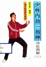 少林内劲一指禅 功法图解 第三套功法