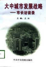 大中城市发展战略 市长访谈录
