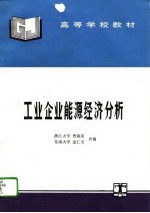 工业企业能源经济分析