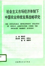 社会主义市场经济体制下中国农业持续发展战略