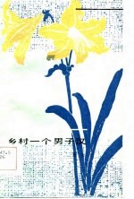 乡村一个男子汉