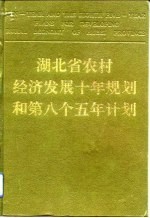 湖北省农村经济发展十年规划和第八个五年计划