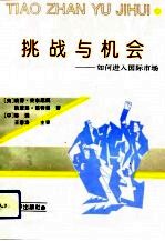 挑战与机会 如何进入国际市场