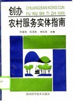 创办农村服务实体指南
