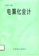 电算化会计 上