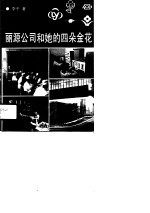 丽源公司和她的四朵金花