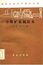 小煤矿采掘技术