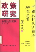 政策研究:从理论到实践